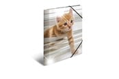 Mapper & Ordrebrett - HERMA Elasticated folder glossy animals A4 PP cats - 19328