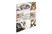 Mapper & Ordrebrett - HERMA 3-flap folder - for A4 - cats - 19212