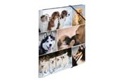 Mapper & Ordrebrett - HERMA 3-flap folder - for A4 - dogs - 19211