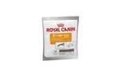 Hund - Royal Canin Energy Treats for Dog 50g - 3182550784641