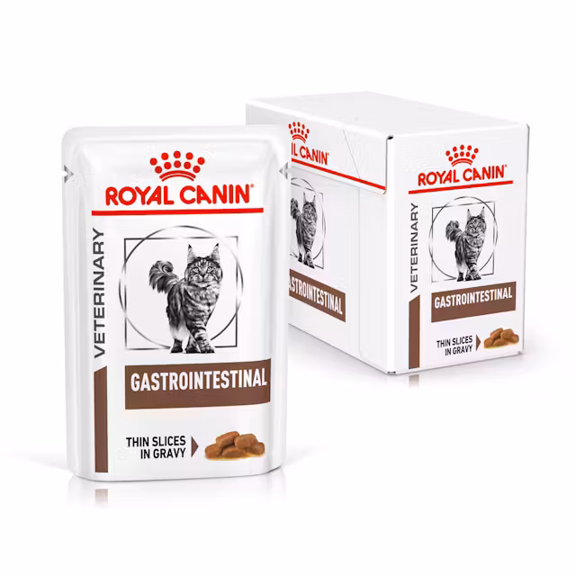 Katt - Royal Canin Gastrointestinal Tynne Skiver i Saus 85 g (12-pakning) - 9003579013557