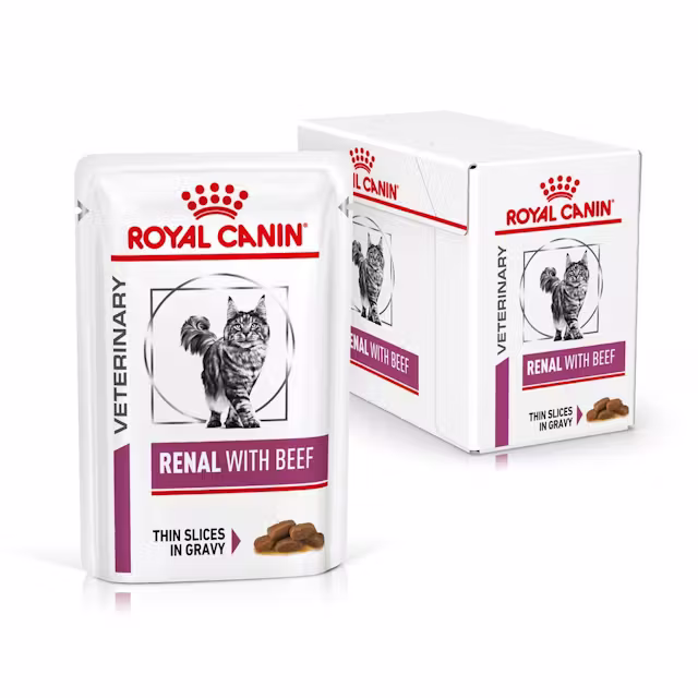 Katt - Royal Canin Renal with Beef Thin Slices In Gravy 85g (12-Pack) - 9003579000489