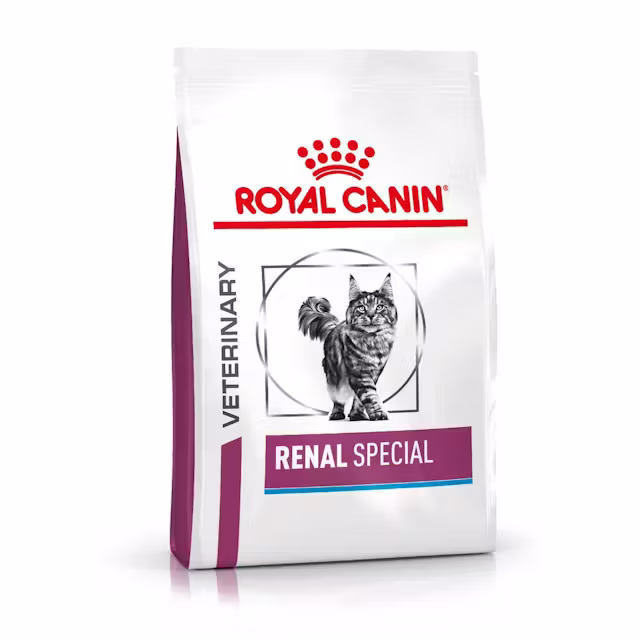 Katt - Royal Canin Renal Special Dry Food for Cats 400g - 3182550917049