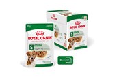 Hund - Royal Canin Mini Ageing Chunks in Gravy 85g (12-Pack) - 9003579008287