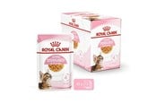 Katt - Royal Canin Kitten Sterilised Jelly 12 × 85 g - 9003579007167