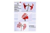 Laminering - Olympia - laminated tape - 100 pcs. - A6 - 9178