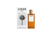 Parfyme & Dufter - LOEWE Solo Pour Homme EDT 100 ml - 100 ml - 8426017070478