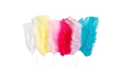 Arts & Crafts - Tilbehør - Creativ Company Feathers in Various Colors 11-17cm 18pcs. - 518490