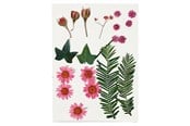 Arts & Crafts - Tilbehør - Creativ Company Dried Flowers and Leaves Light Red 19 pcs. - 504471