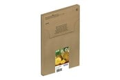 Printertilbehør blekk/toner - Epson 604 Multipack Easy Mail Packaging - 4-pack - XL - black yellow cyan magenta - original - ink cartridge - C13T10G64510