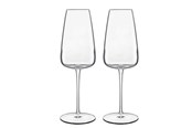 Servering & Servise - Luigi Bormioli Champagne glass Talismano 40 cl 2 pcs Clear - 0032622027554