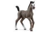 Schleich - Schleich Cheval de Selle Fr. føll - 13957