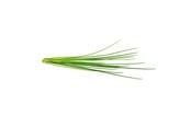Smarthus - Click & Grow Smart Garden Refill 3-pack - Chives - SGR38X3