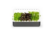 Smarthus - Click & Grow Smart Garden 9 Starter kit - SG9S8UNI