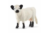Schleich - Schleich Galloway Kveg - 13960