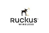 Service & Support - Ruckus Wireless Ruckus Partner WatchDog Premium Support - 827-H510-1000