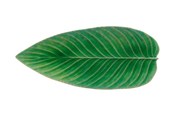 Kjøkkentilbehør - Costa Nova Serving dish oblong leaf Riviera 40 x 17 cm Green/Black - 22783