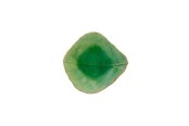 Kjøkkentilbehør - Costa Nova Mini bowl leaf Riviera 11 x 10 x 3 cm Green/Black Ceramic - 22686