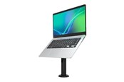 Veggmontering, AV-braketter & AV-møbler - Compulocks Universal Invisible Mount Counter Stand 4" - Max - recommended for - TCDP04SMP01B
