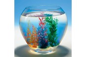 Leketøy - Goki Magic Shell 1pc. - 60836