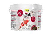 Fisk - Tetra KOI Beauty Small 10 L - T709595