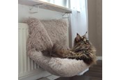 Katt - Dogman Koselig radiator-seng for katter - 804961