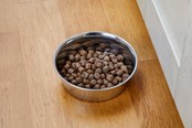 Hund - Dogman Heavy Matskål i Rustfritt Stål Metall 330ml - 369625