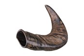 Hund - Trixie Buffalo Chewing Horn packaged medium - TX27742
