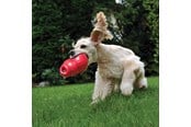 Hund - KONG Dog Toy Bounzer Medium 15cm - 340374