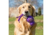 Hund - KONG Hundeleke Wubba Assorted Colors Large 32cm - 340461
