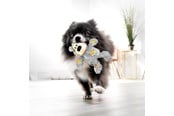 Hund - KONG Hundeleke Wild Knots Bear Assorterte Farger XS 10cm - 340492