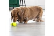 Hund - KONG Hundeleke AirDog Squeaker Football Small 8cm - 340528