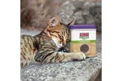 Katt - KONG Naturals Premium Catnip 28g - 340628
