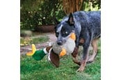Hund - KONG Dog Toy Shakers Honkers Duck Large 45cm - 340777