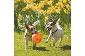 Hund - KONG Dog Toy Jumbler Ball Medium/Large 14cm - 340917