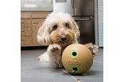 Hund - KONG Dog Toy Bamboo Feeder Dumbbell M - 340925