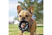 Hund - KONG Dog Toy Extreme Ring XL 13cm - 340926