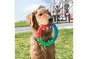 Hund - KONG Dog Toy Twistz Ring Small 17cm - 340938