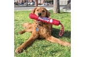 Hund - KONG Hundeleke Signature Stick med tau 30cm - 340941