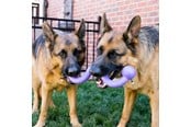 Hund - KONG Hundeleke Ogee Stick 30cm - 340947