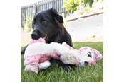 Hund - KONG Dog Toy Low Stuff Flopzie Fox 48cm - 340972