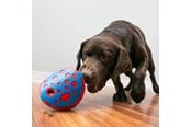 Hund - KONG Activation Toy Rewards Wally - 341014