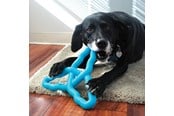 Hund - KONG Dog Toy Flyangle Assorted Colors Large - 341015