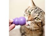 Katt - KONG Kitty Kong - 341104