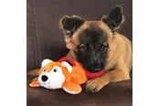 Hund - KONG Dog Toy Cozie Pocketz Beaver Medium 33cm - 341128
