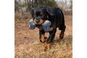 Hund - KONG Dog Toy Maxx Bone Small/Medium 28cm - 341189
