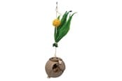 Pinner, husker og lekestativ - Trixie Coconut on sisal rope 35 cm - TX58920