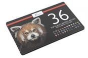 Arts & Crafts - Tilbehør - Nassau 36 colored pencils in metal box - AR0213/GE