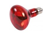 Oppvarming/Lys - Trixie Infrared Heat Spot Lamp 100W R80 E27 - TX76097