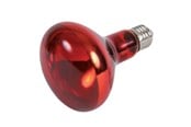 Oppvarming/Lys - Trixie Infrared Heat Spot Lamp 150W R95 E27 - TX76098